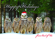 Owl of Us Christmas Cards