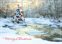 Tranquil Christmas Cards