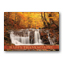 Woodland Waterfall Thanksgiving Card